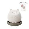 潤いマスコット FIKA ohana CAT ありがとうカード付