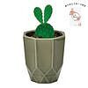 ハチカク カクタス グレー ウチワサボテン ありがとうカード付