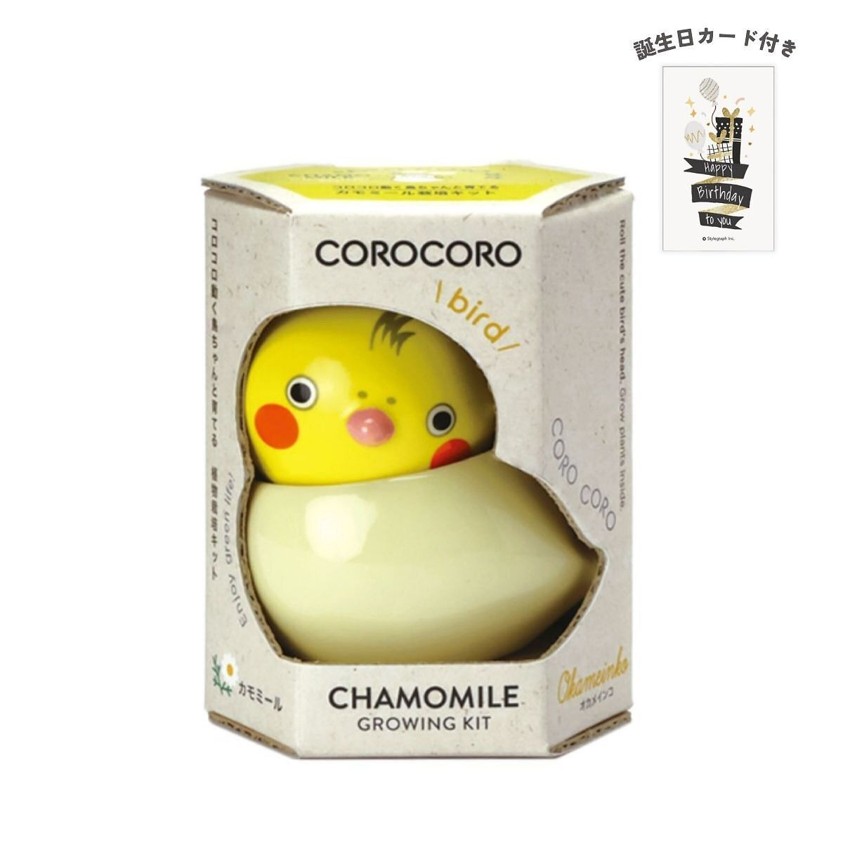 コロコロバード オカメ カモミール 誕生日カード付