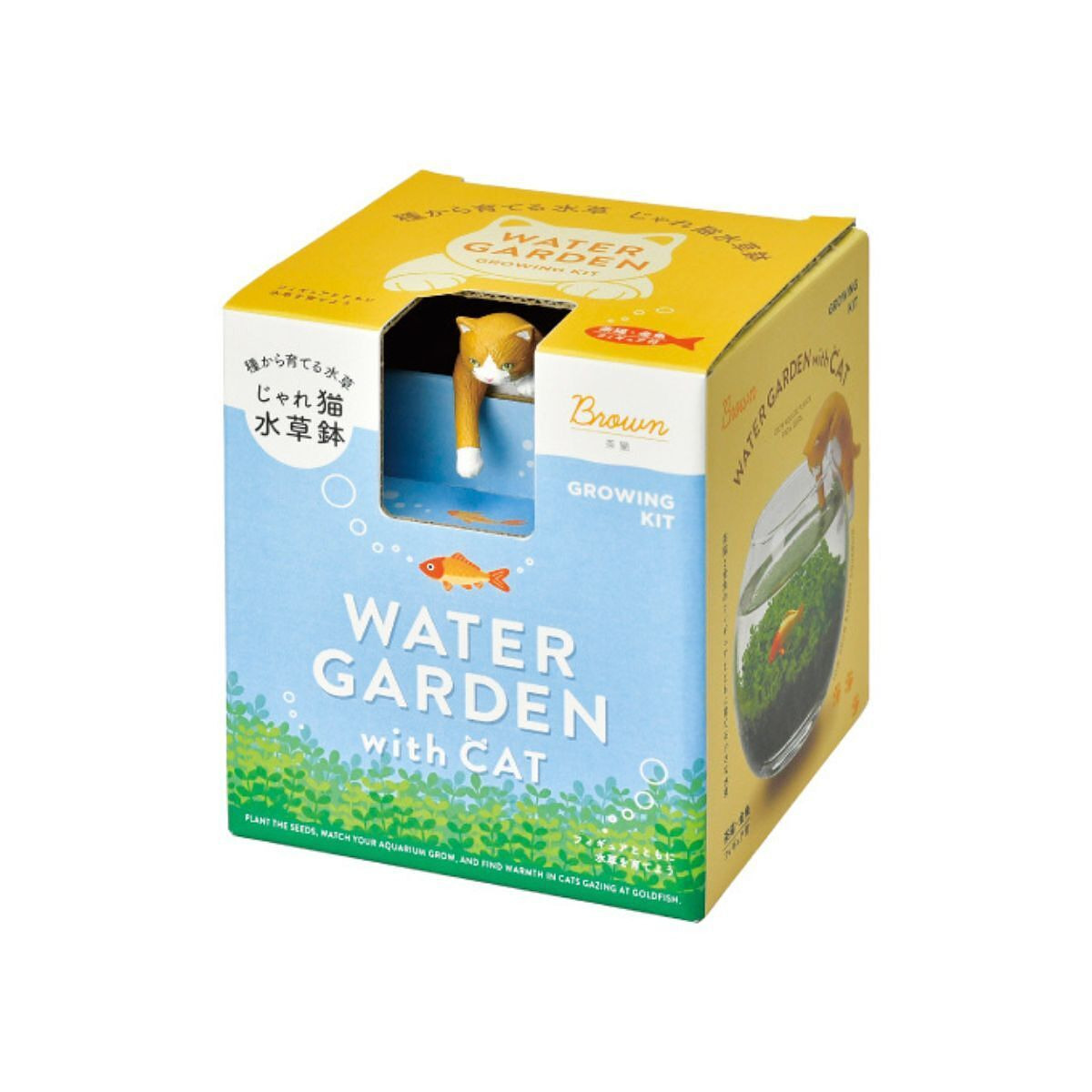 じゃれ猫水草鉢 茶ハチワレ