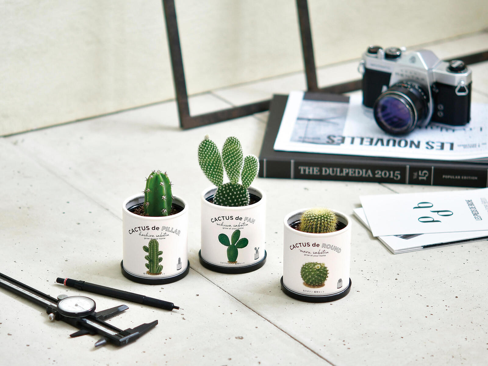CACTUS de CACTUS カクタス de カクタス サボテンセット - スマートギフト
