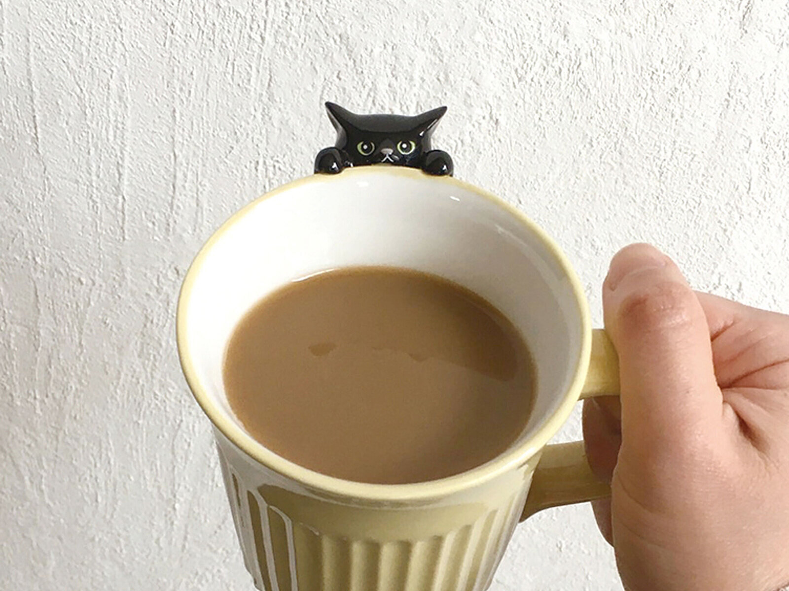 にらめっこ猫マグ 黒猫 - スマートギフト