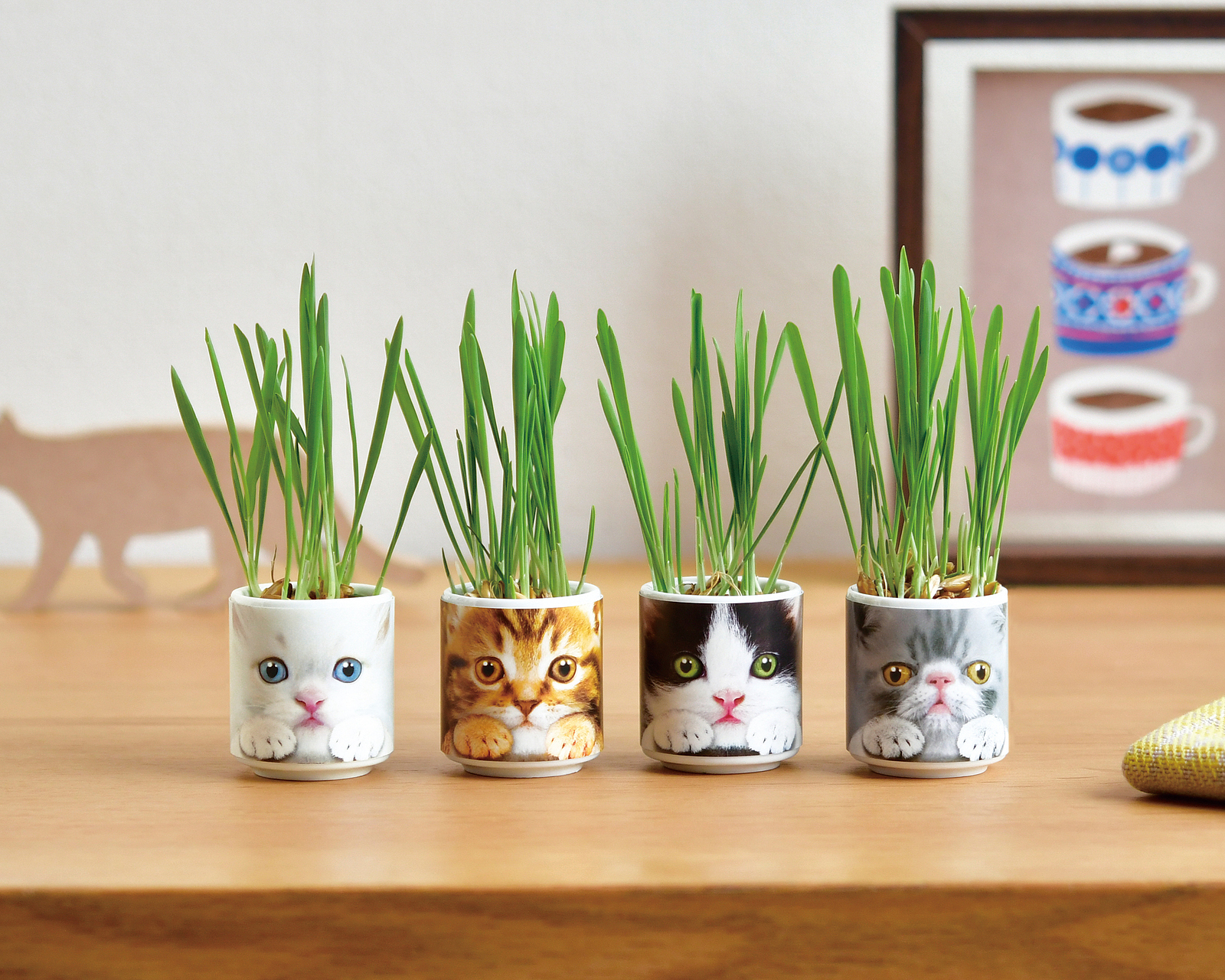 おちょこで猫草 栽培セット 白＆黒＆茶＆グレー - スマートギフト