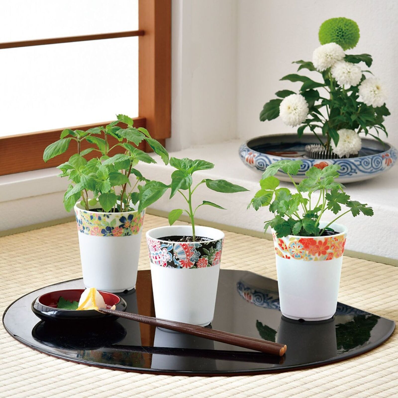 お家で育てる薬味