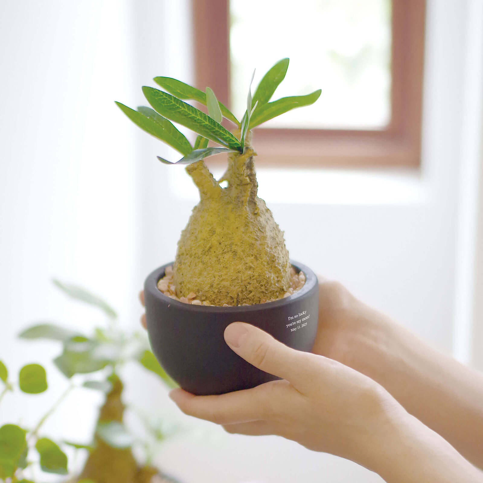 記念品とお祝い品の違い