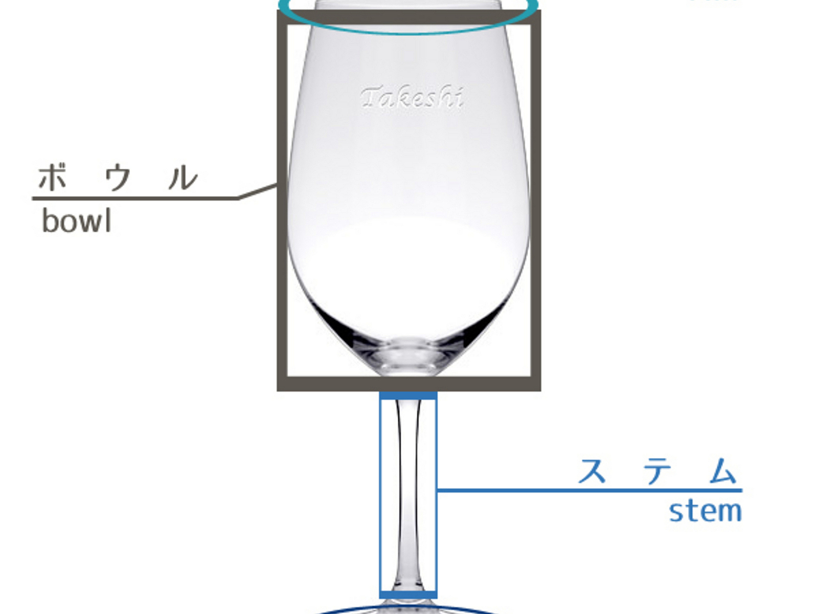 ワイングラスの各部名称