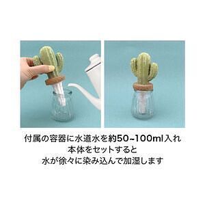潤いマスコット ガラスサボテン  ハシラサボテン 1