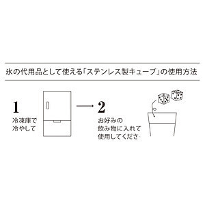 フローズンキューブ 二重タンブラー＆キューブ2個セット 2