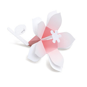 花言葉 ブーケ Hana-kotoba Bouquet (pearl pink) 10枚入
