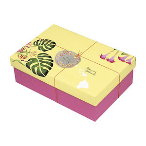 レイ・ミイク モンステラプレート 2