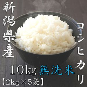 無洗米 新潟県産コシヒカリ 5kg 5