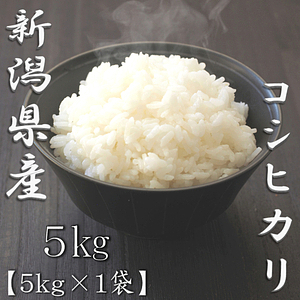 新潟県産コシヒカリ 5kg 0