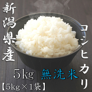 無洗米 新潟県産コシヒカリ 5kg 0