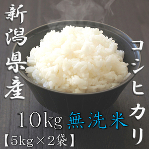 無洗米 新潟県産コシヒカリ 5kg 1