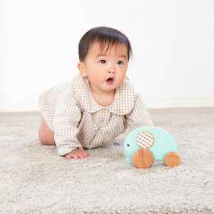 くるくるプッシュトイ おっとりEllie 出産お祝いカード付 6