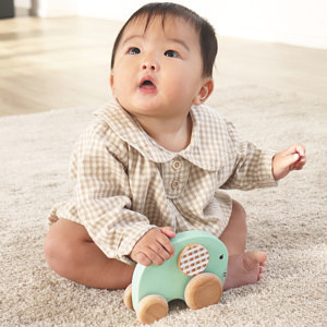 くるくるプッシュトイ おっとりEllie 出産お祝いカード付 9