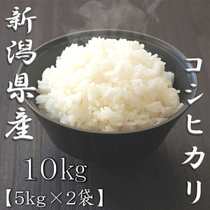 新潟県産コシヒカリ 5kg 1