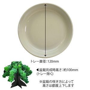 桜の都 19