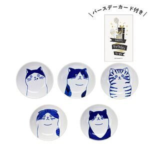 SHICHITA 猫 豆鉢揃 木箱入 誕生日カード付