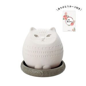 潤いマスコット FIKA ohana CAT ありがとうカード付