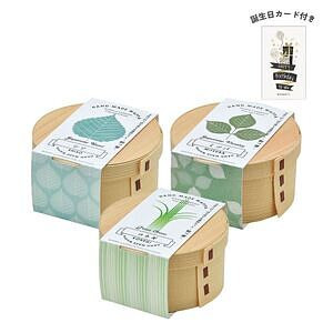 WAPPA 和っ葉栽培セット 3種 誕生日カード付