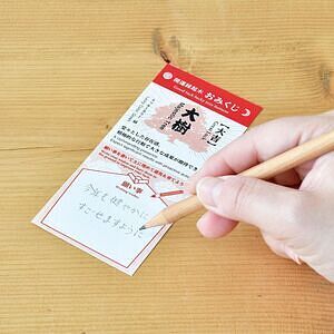 縁起松栽培セット おみくじ付き 1