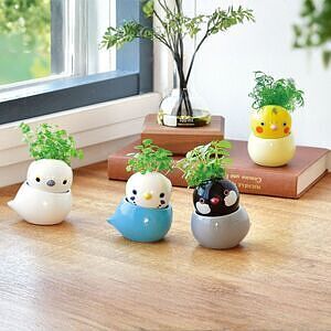 コロコロバード シマエナガ ミント 0