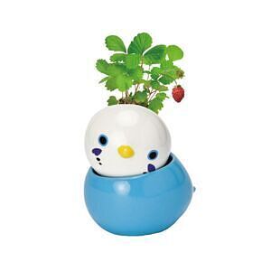 コロコロバード シマエナガ ミント 4