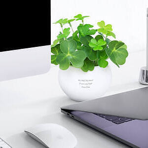 CT触媒グリーン クローバー ホワイトデーカード付 2