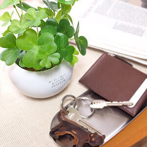 CT触媒グリーン クローバー ホワイトデーカード付 3