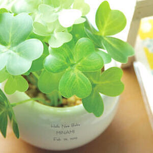 CT触媒グリーン クローバー ホワイトデーカード付 5