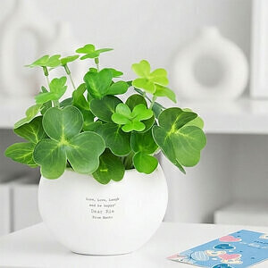 CT触媒グリーン クローバー ホワイトデーカード付 7