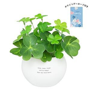 CT触媒グリーン クローバー ホワイトデーカード付