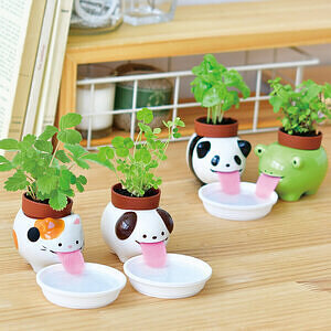 ペロポン イヌ クローバー ホワイトデーカード付 1