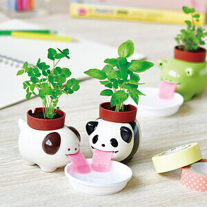 ペロポン イヌ クローバー ホワイトデーカード付 2