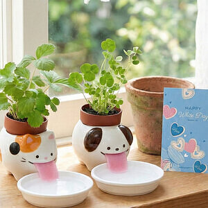 ペロポン イヌ クローバー ホワイトデーカード付 3