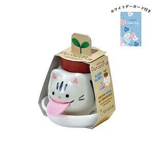 ペロポン サバトラ バジル ホワイトデーカード付