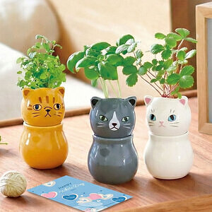 コロコロキャット 茶 ミント ホワイトデーカード付 4