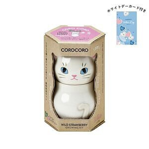 コロコロキャット 白 ワイルドストロベリー ホワイトデーカード付
