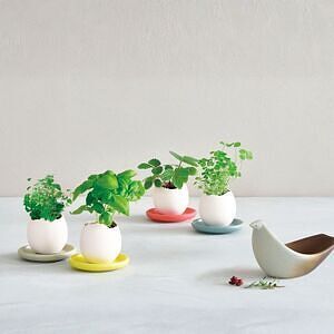 エッグリング＆ソーサー ミント ありがとうカード付 0