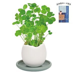 エッグリング＆ソーサー 四つ葉のクローバー 父の日カード付