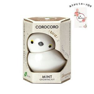 コロコロバード シマエナガ ミント ありがとうカード付