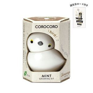 コロコロバード シマエナガ ミント 誕生日カード付