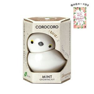 コロコロバード シマエナガ ミント 母の日カード付