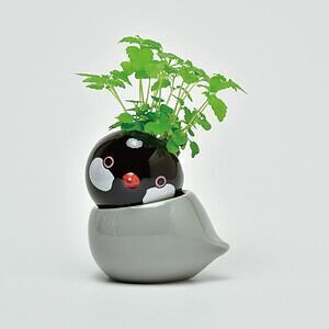 コロコロバード シマエナガ ミント ありがとうカード付 4