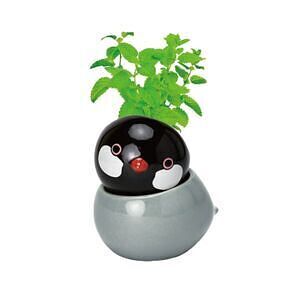 コロコロバード シマエナガ ミント ありがとうカード付 5