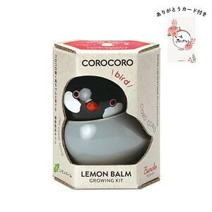 コロコロバード ブンチョウ レモンバーム ありがとうカード付