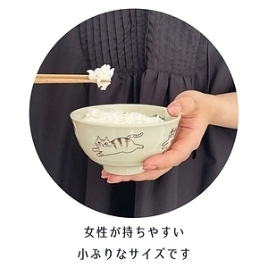 fikalycka 茶碗＆箸セット ブラウン ありがとうカード付 2