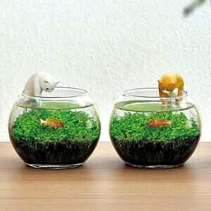 じゃれ猫水草鉢 白 1