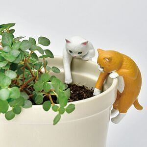 じゃれ猫水草鉢 白 2